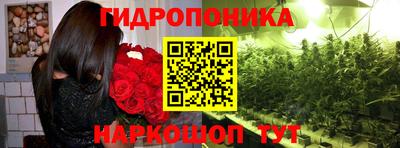 индика Канаш