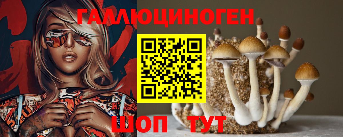 Галлюциногенные грибы Cubensis Гусиноозёрск